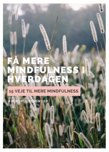 mindfulness_i_hverdagen