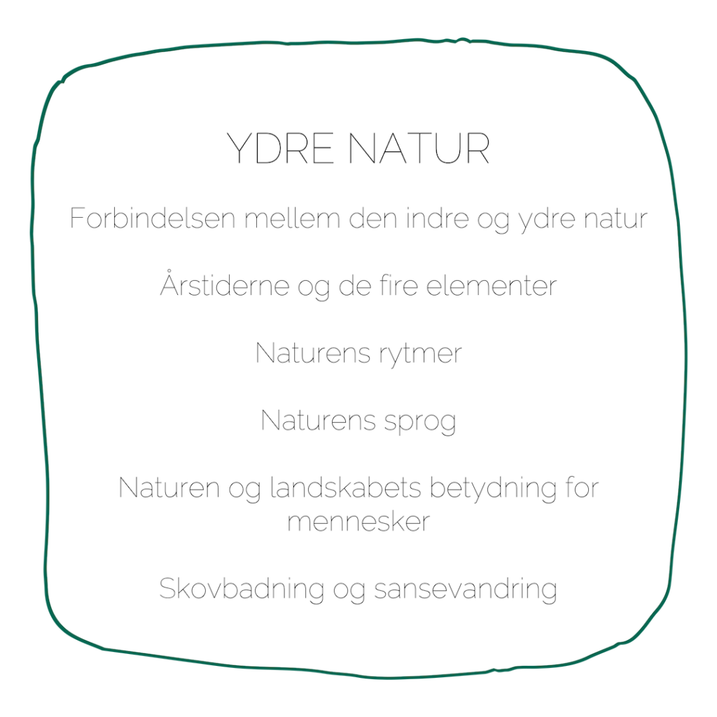Uddannelsen i naturterapeutisk mindfulness ydre natur
